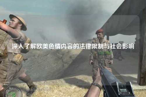 深入了解欧美色情内容的法律限制与社会影响